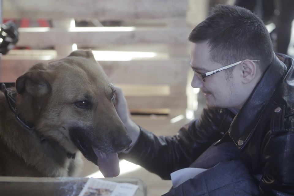 Выставка бездомных кошек и собак «Хвостатый Фест»