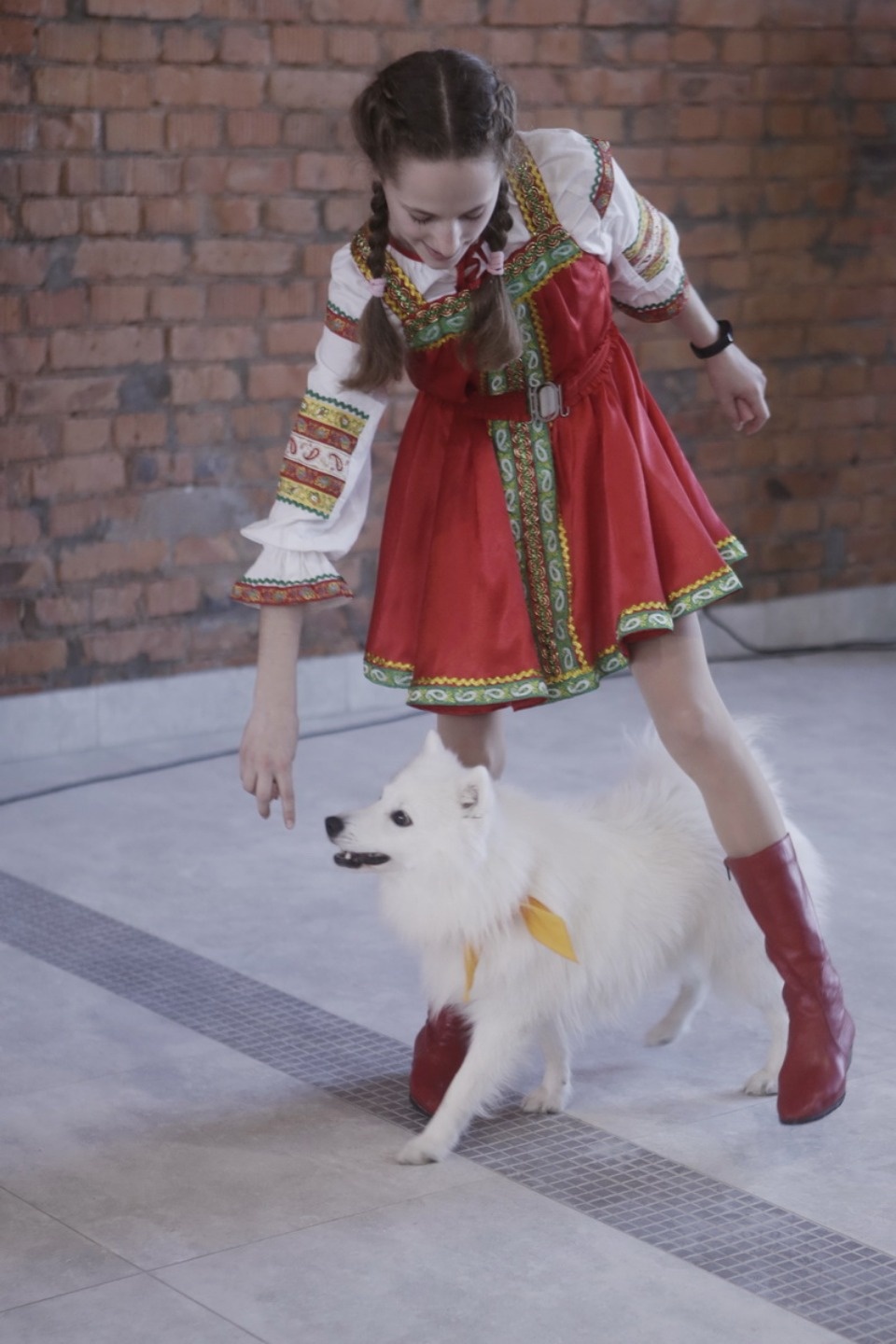 Выставка бездомных кошек и собак «Хвостатый Фест»