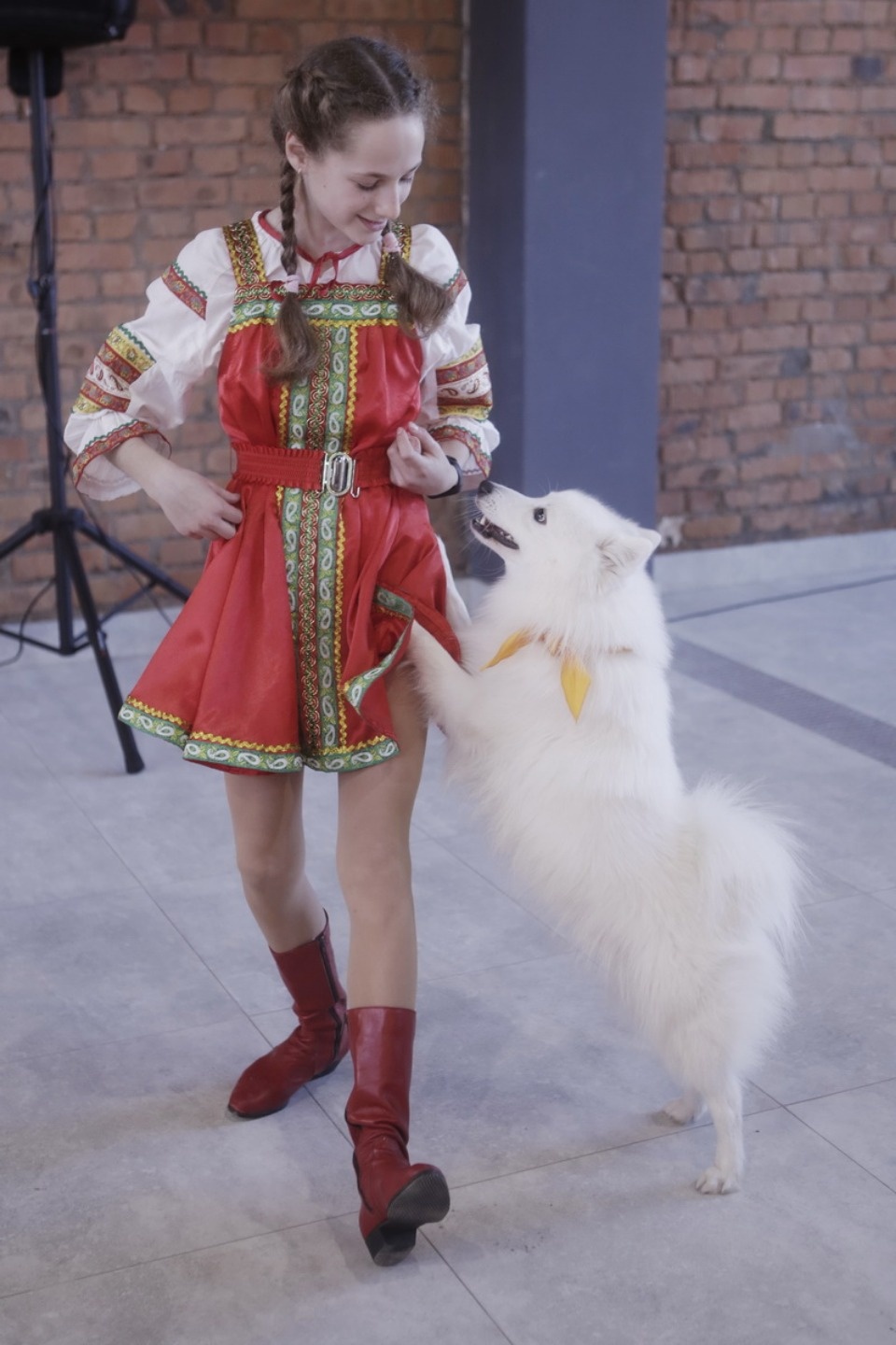 Выставка бездомных кошек и собак «Хвостатый Фест»