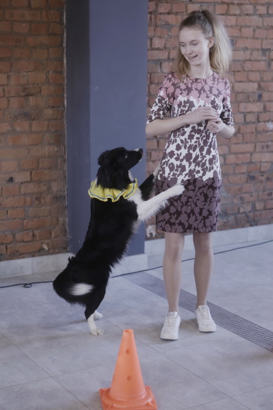 Выставка бездомных кошек и собак «Хвостатый Фест»