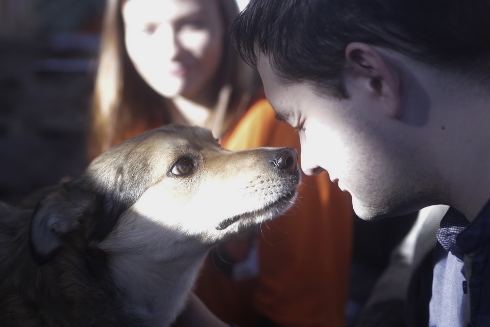 Выставка бездомных кошек и собак «Хвостатый Фест»
