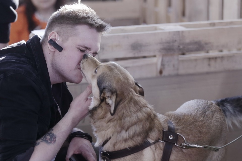 Выставка бездомных кошек и собак «Хвостатый Фест»