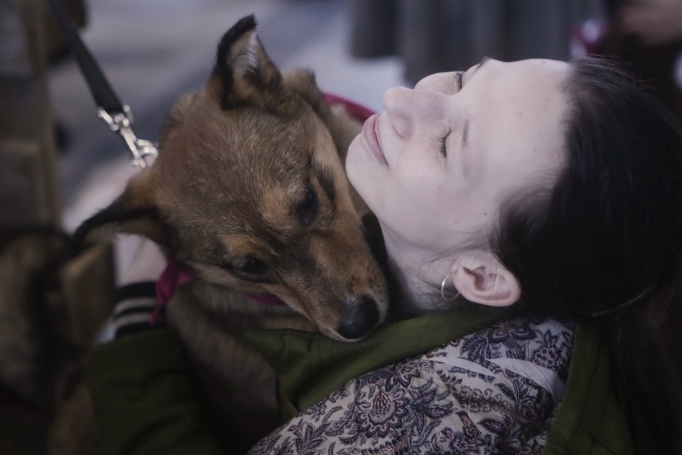 Выставка бездомных кошек и собак «Хвостатый Фест»