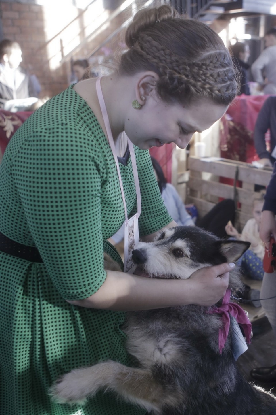 Выставка бездомных кошек и собак «Хвостатый Фест»