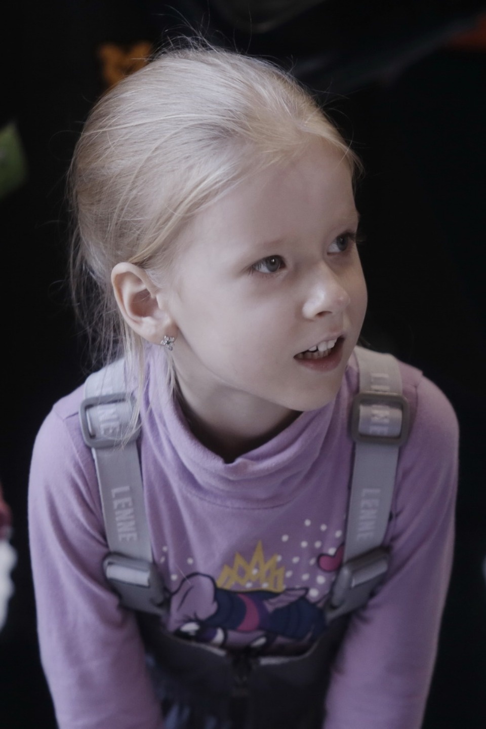 Выставка бездомных кошек и собак «Хвостатый Фест»