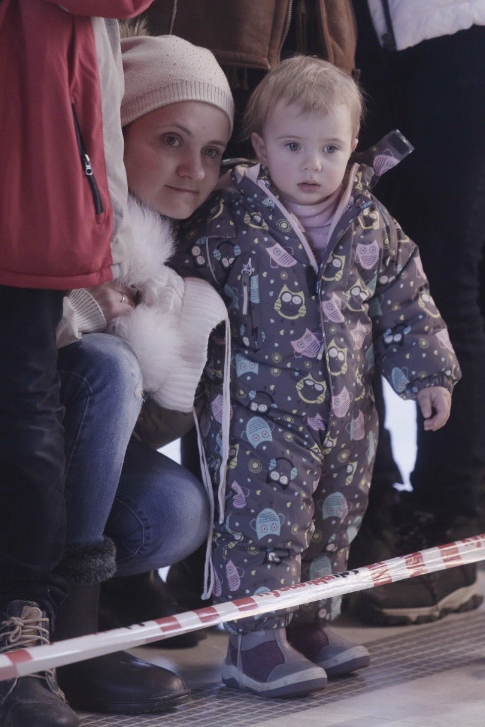 Выставка бездомных кошек и собак «Хвостатый Фест»