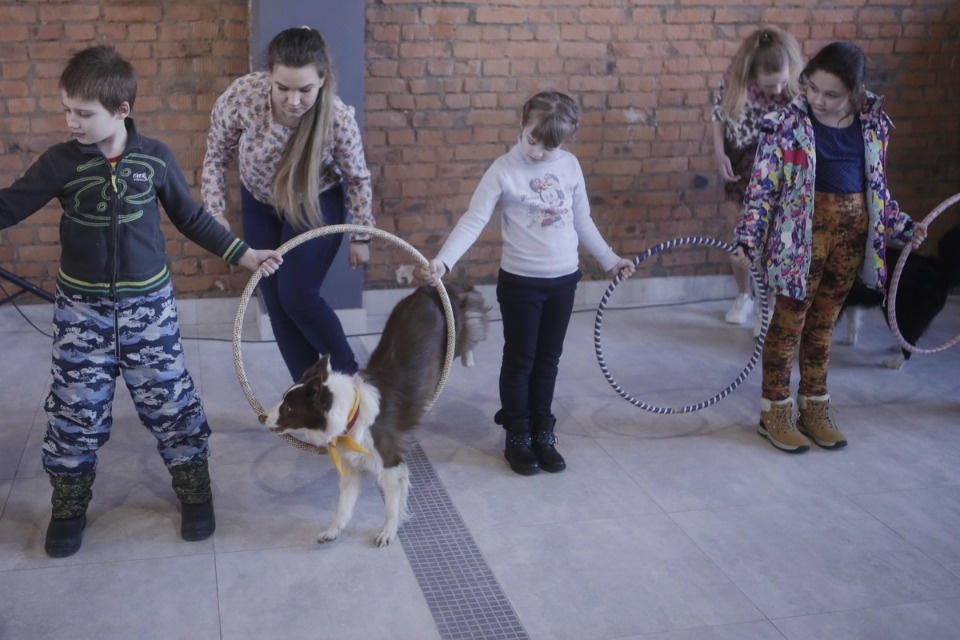 Выставка бездомных кошек и собак «Хвостатый Фест»
