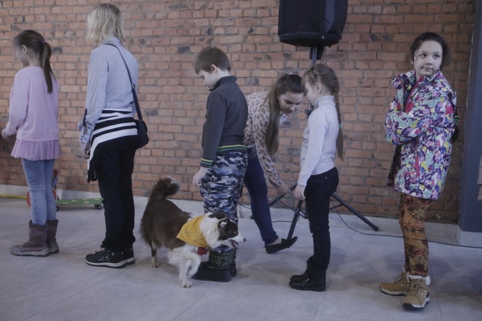 Выставка бездомных кошек и собак «Хвостатый Фест»