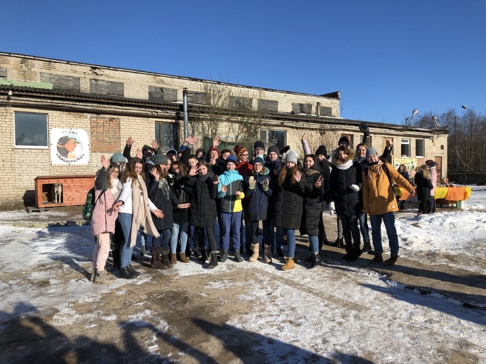 Голландские и русские школьники посетили приют для бездомных животных «Лесопилка» Голландские и русские школьники посетили приют для бездомных животных «Лесопилка»