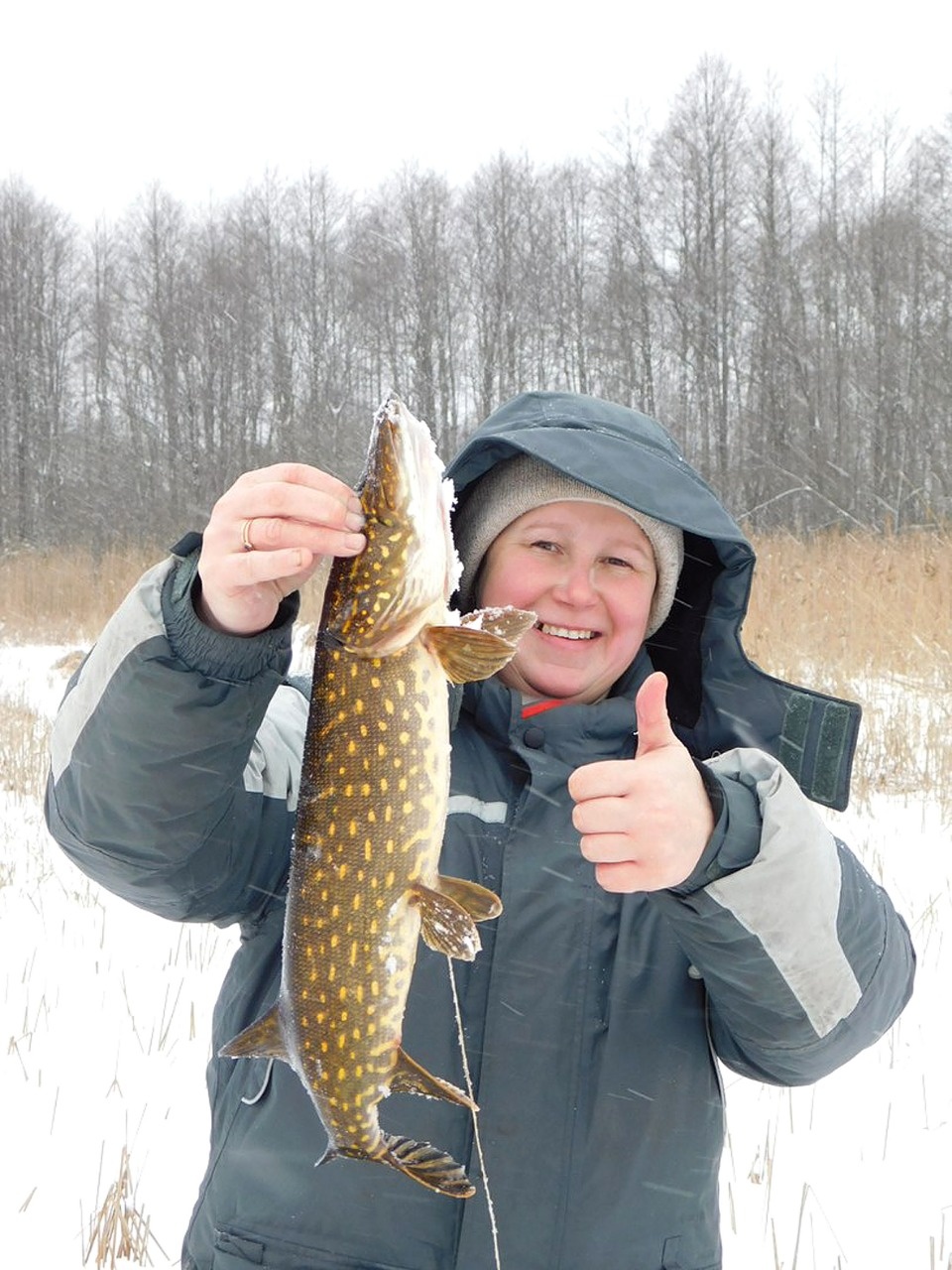 Наступление по всем фронтам