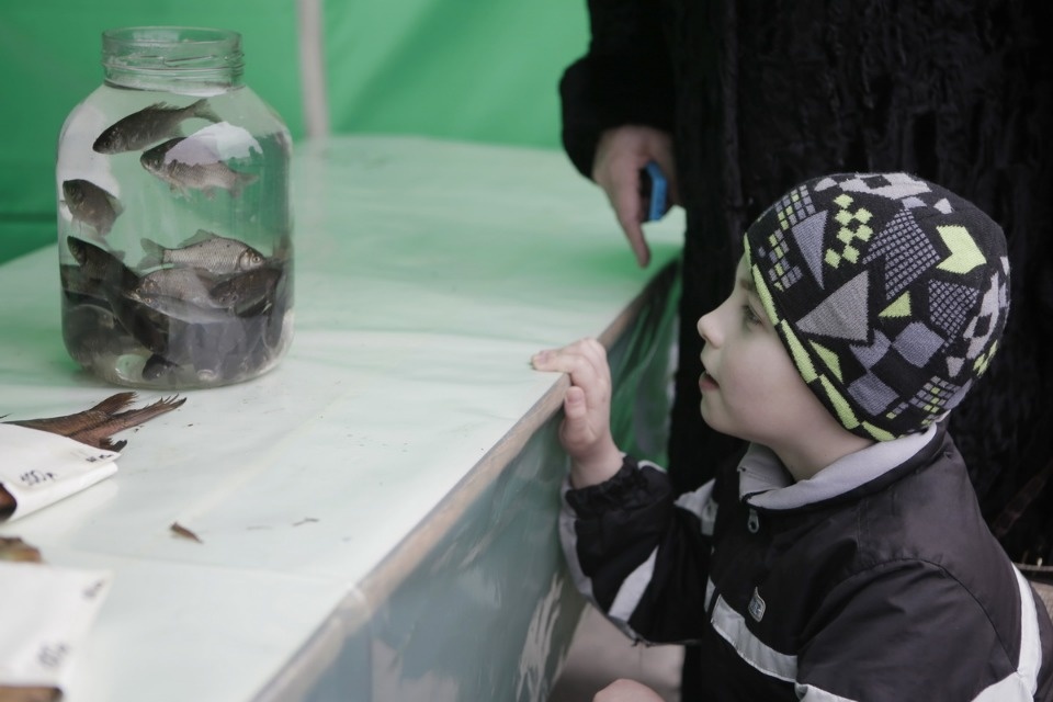 Проводы русской зимы и масленичные гуляния в Пскове