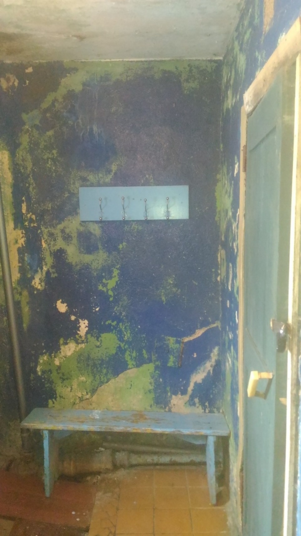 Сбежали от опеки Сбежали от опеки