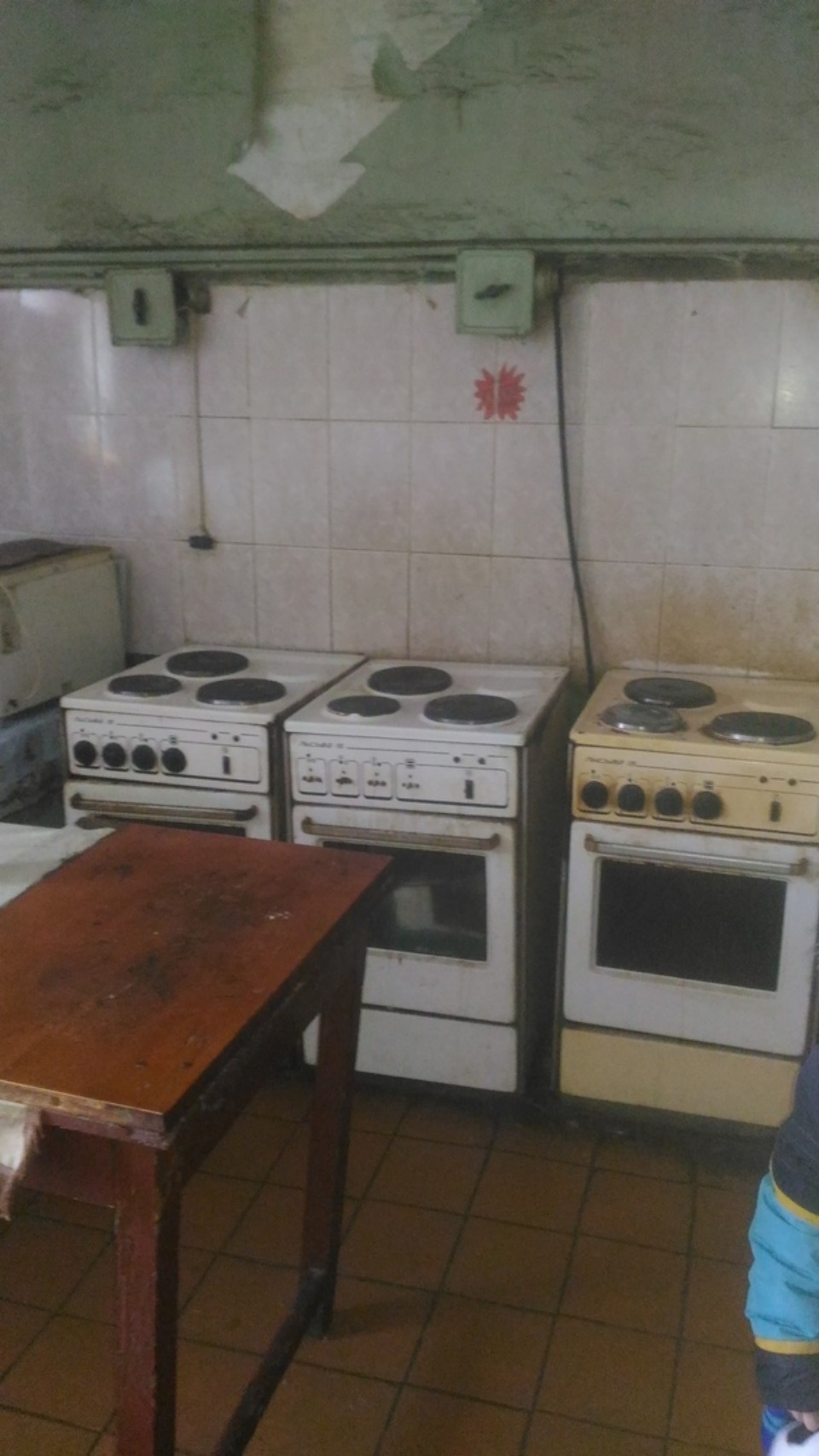 Сбежали от опеки Сбежали от опеки