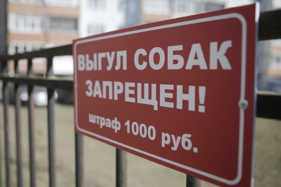 Дом образцового содержания