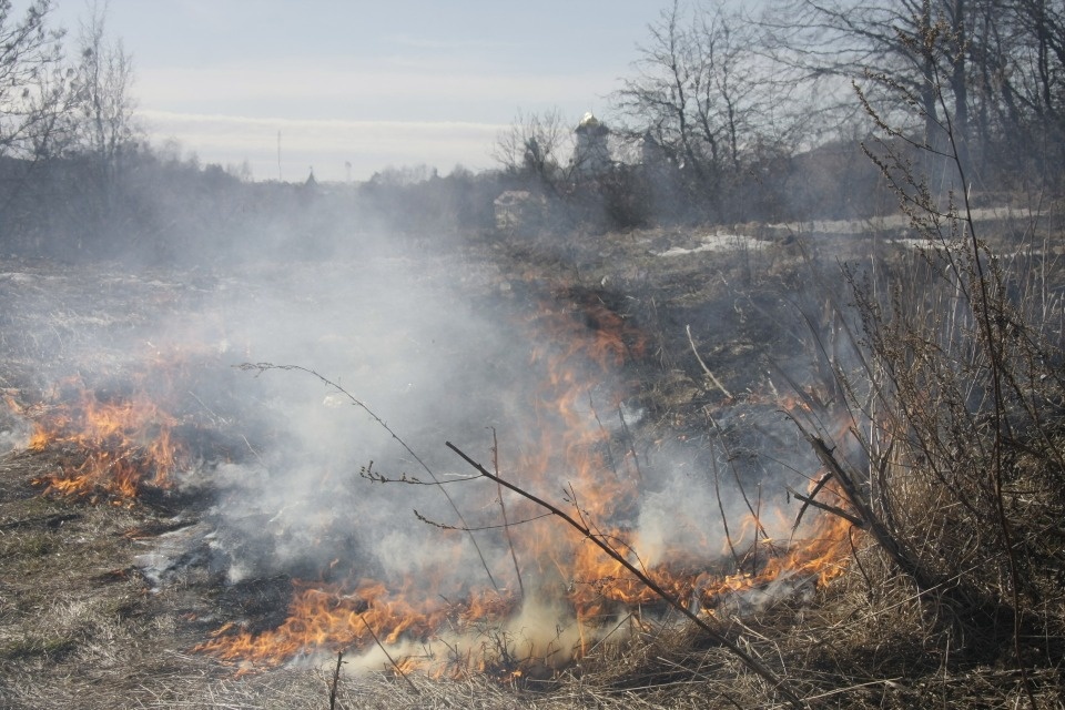 Как безопасно провести выходные на даче: не жечь траву и не разводить костры