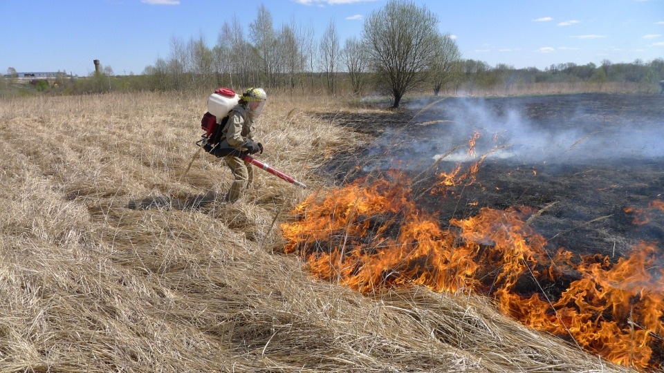 Псковский губернатор призвал жителей спасти область от огня