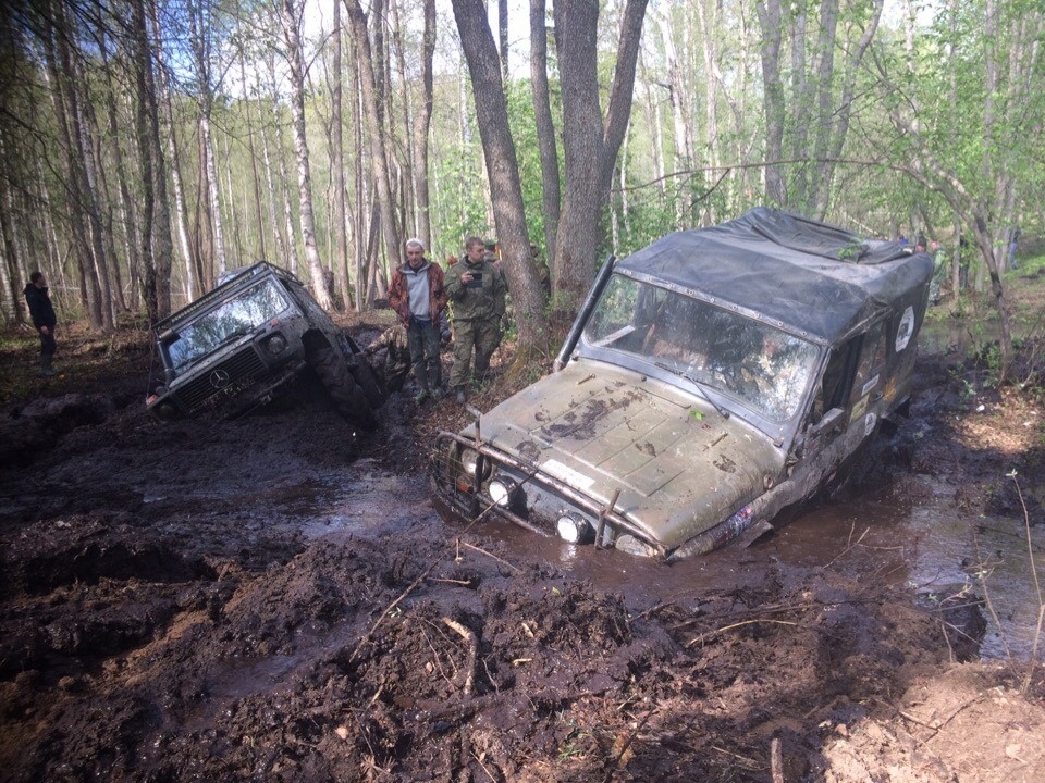 Из грязи — на пьедестал