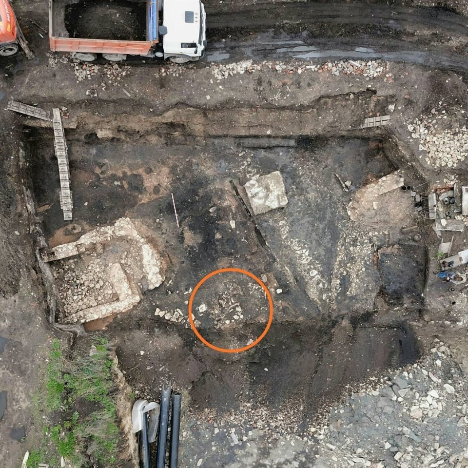 Откуда на Мстиславском раскопе появился скелет лошади, пытаются разобраться псковичи