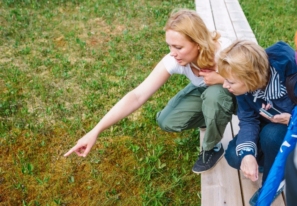 Провести «веселую субботу с болотом» предлагают псковичам устроители «РосянкаFest»