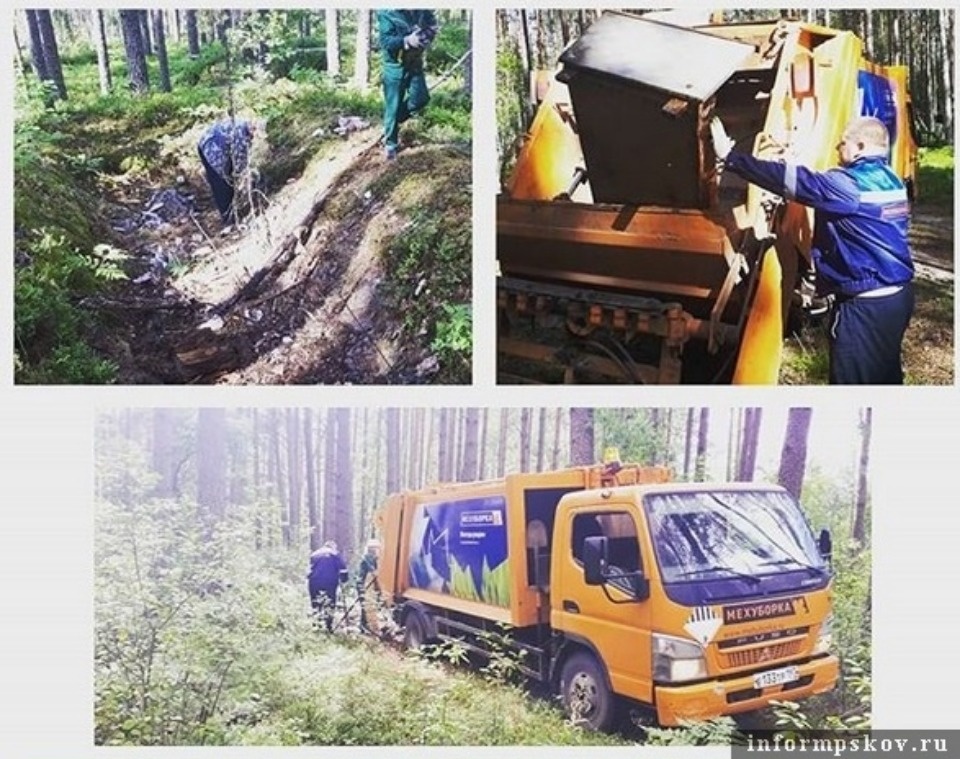 Лесная свалка ликвидирована в Пустошкинском районе