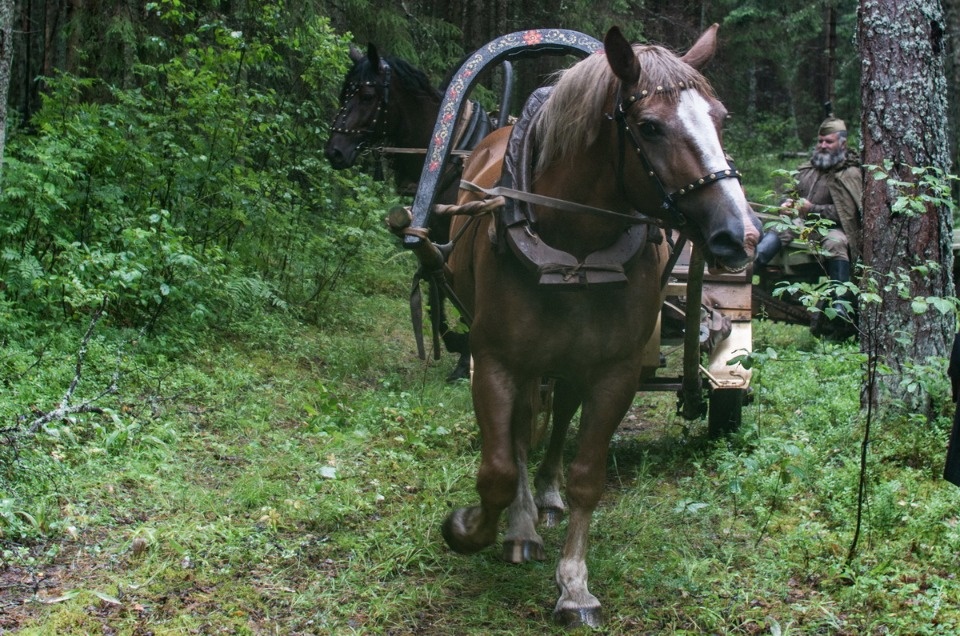Встреча ветеранов войны на Кургане Дружбы