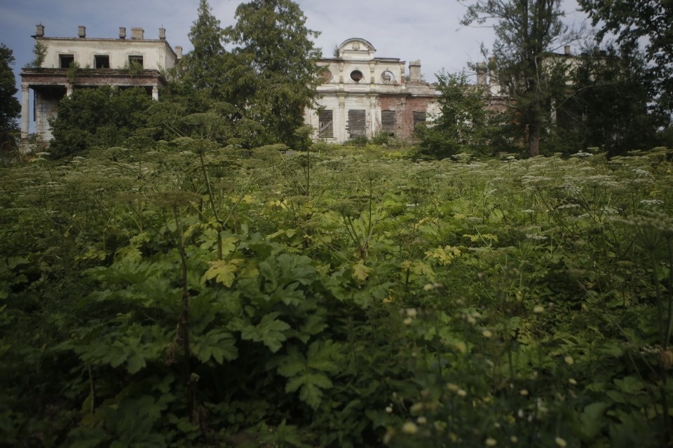 Волонтеры помогают сохранить усадьбу Волышово