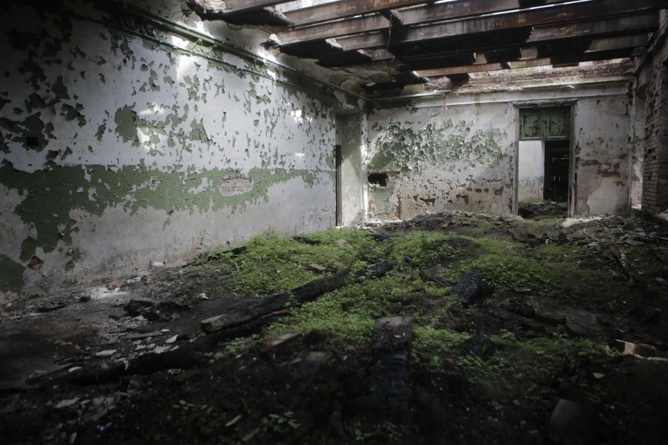 Волонтеры помогают сохранить усадьбу Волышово