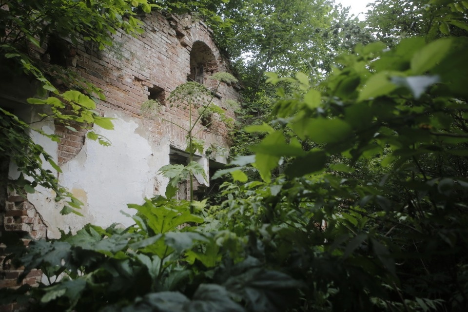 Волонтеры помогают сохранить усадьбу Волышово