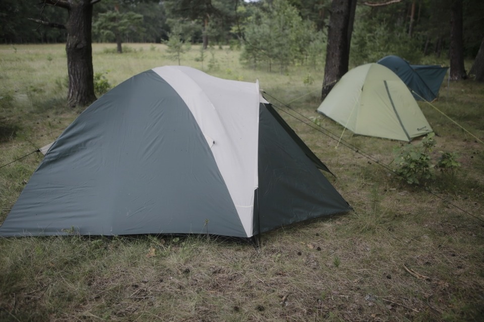 Волонтеры помогают сохранить усадьбу Волышово