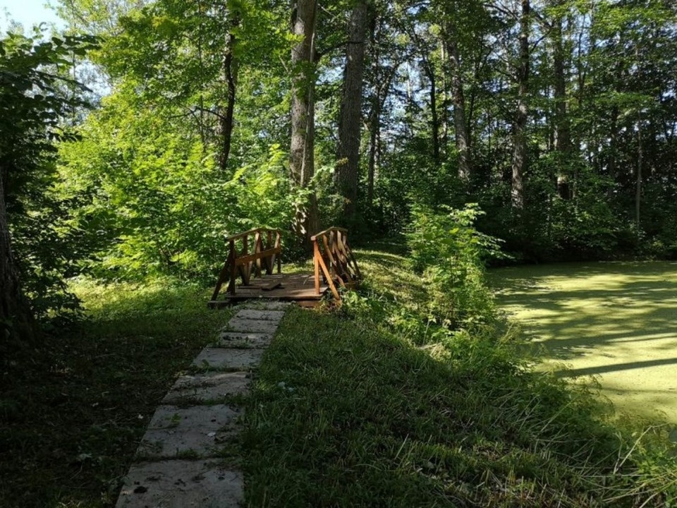 Работа комиссии конкурса «Лучшее поселение Псковской области» завершится в середине августа