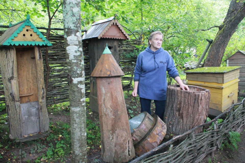 По дороге на Изборск