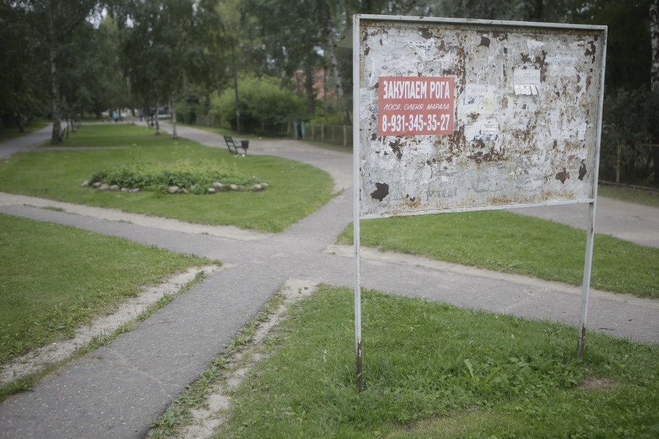 Пять скверов обновят в Пскове – кому повезло