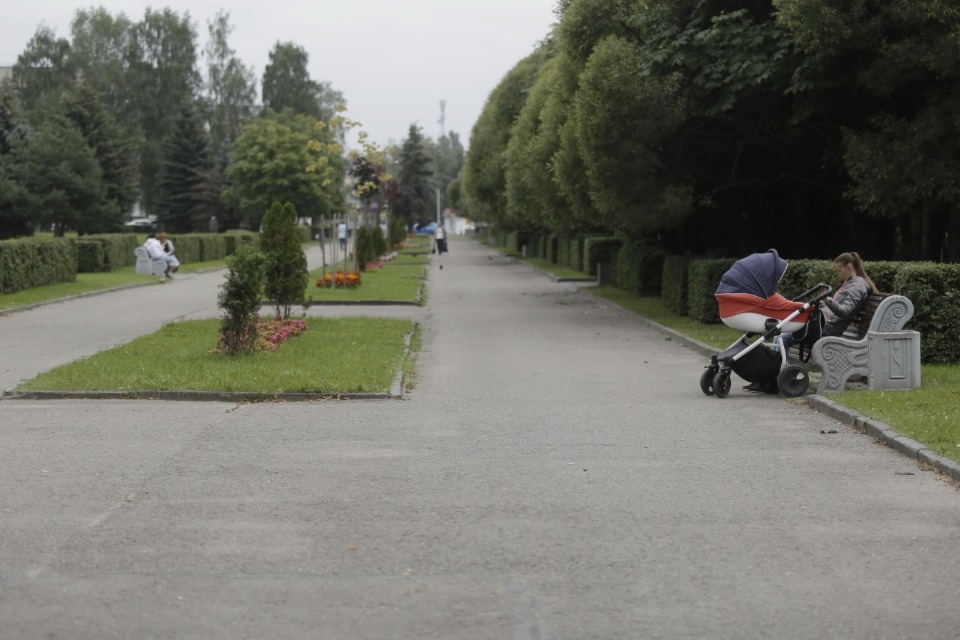 Пять скверов обновят в Пскове – кому повезло