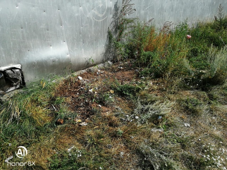 Сергей Пайст: Летом объём вывозимого мусора с Талабских островов вырос в разы