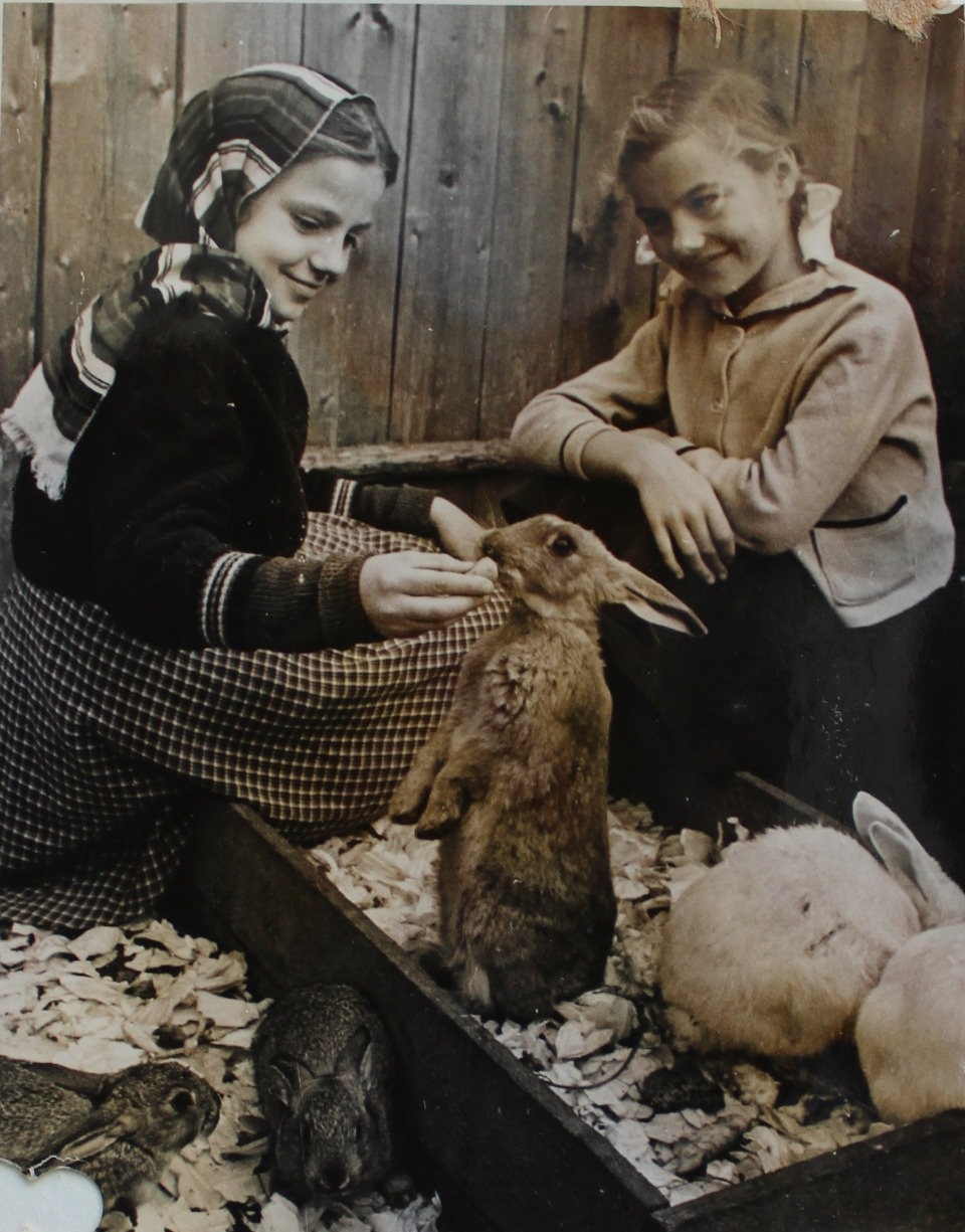 Фото на память Фото на память