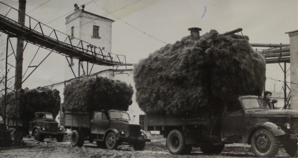 Фото на память Фото на память