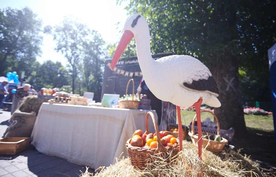 Каким запомнят нынешний «Медовый фестиваль» в Пскове Каким запомнят нынешний «Медовый фестиваль» в Пскове