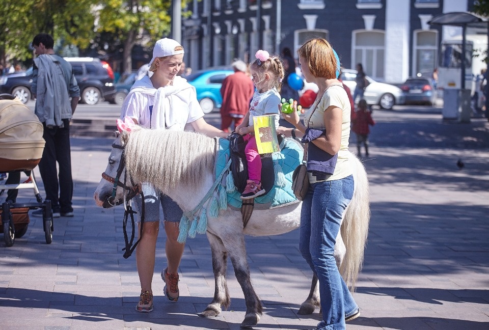 Каким запомнят нынешний «Медовый фестиваль» в Пскове Каким запомнят нынешний «Медовый фестиваль» в Пскове