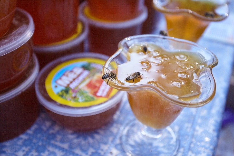 Каким запомнят нынешний «Медовый фестиваль» в Пскове Каким запомнят нынешний «Медовый фестиваль» в Пскове