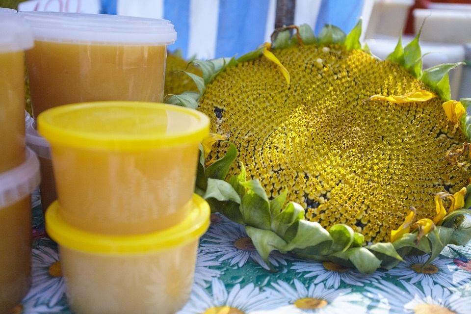 Каким запомнят нынешний «Медовый фестиваль» в Пскове Каким запомнят нынешний «Медовый фестиваль» в Пскове