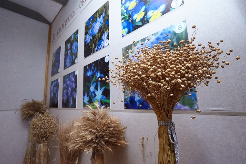 Синенький цветочек