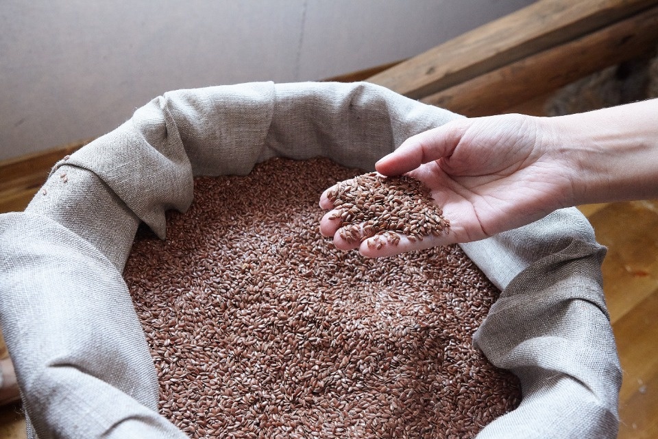 Синенький цветочек