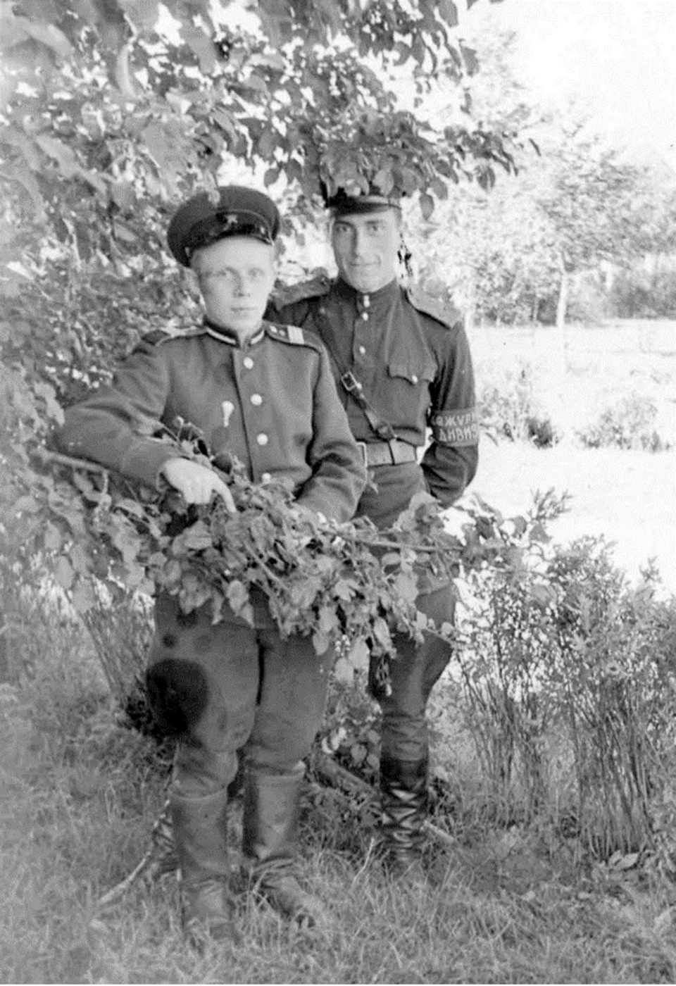 Могучее древо