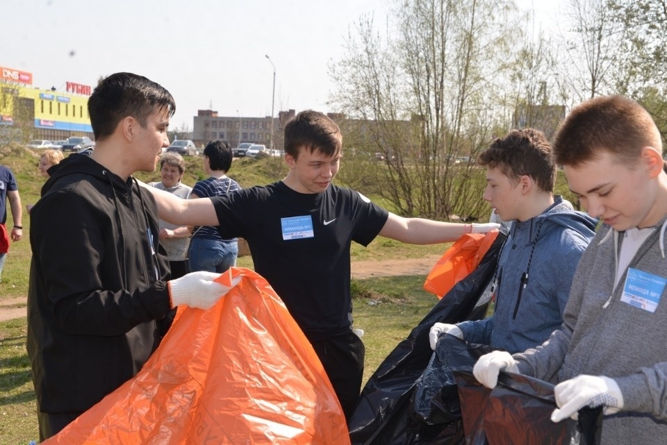 Тотальная зачистка 