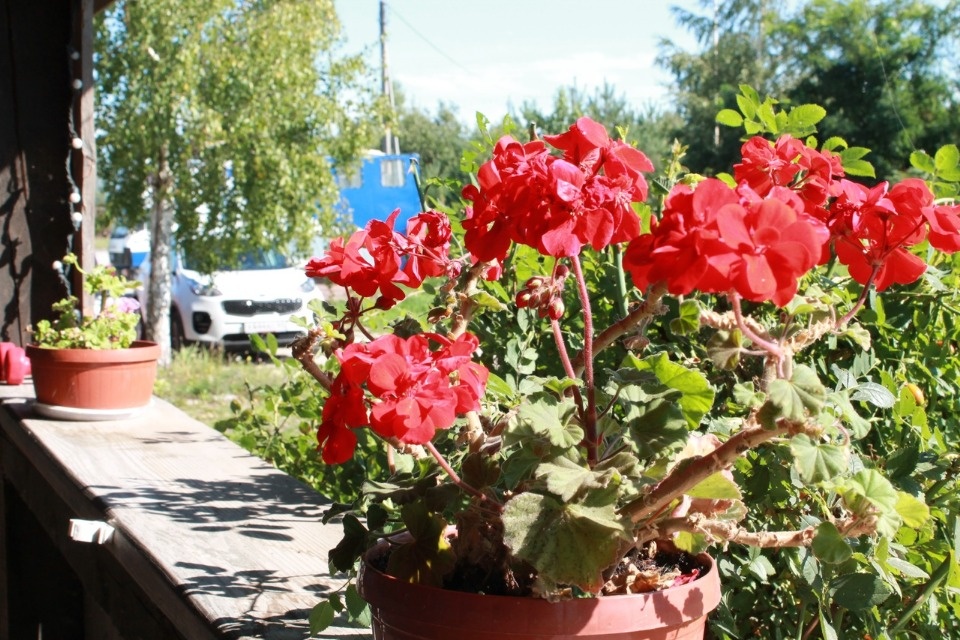 По Печорской стороне