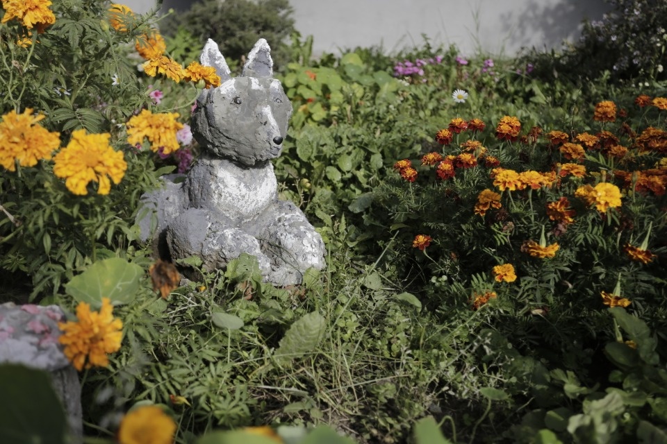 Делаю по ночам