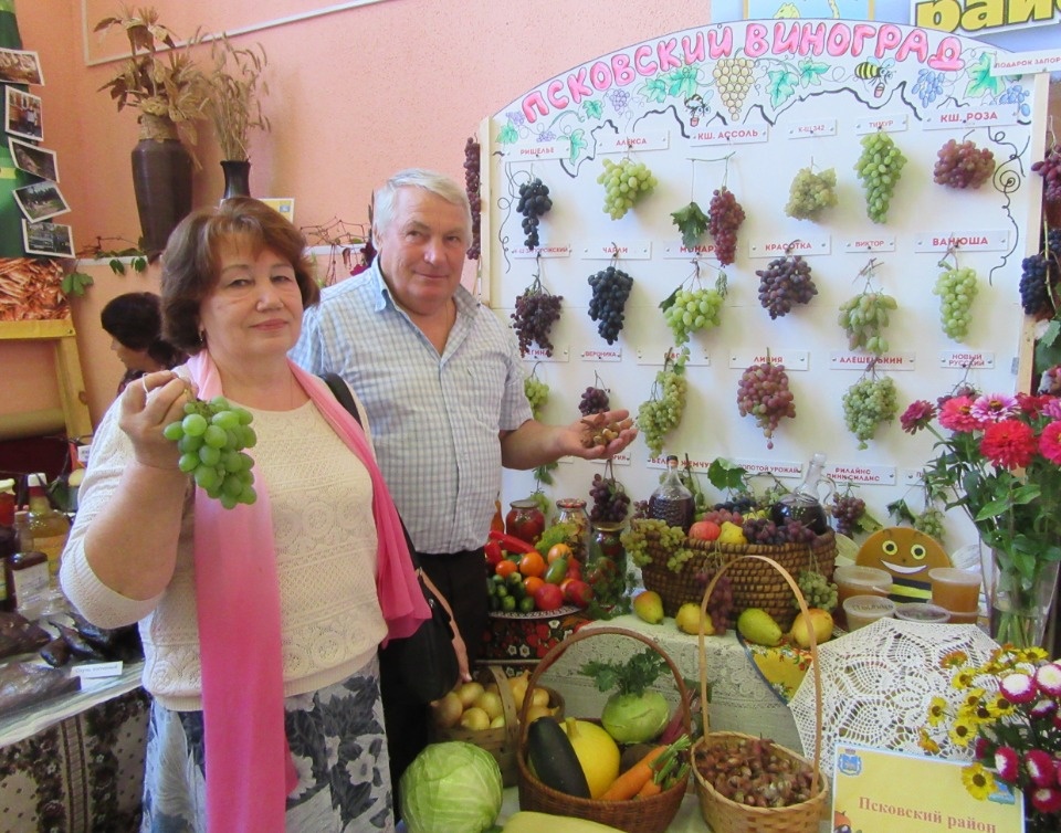 Да мы же пенсионеры!