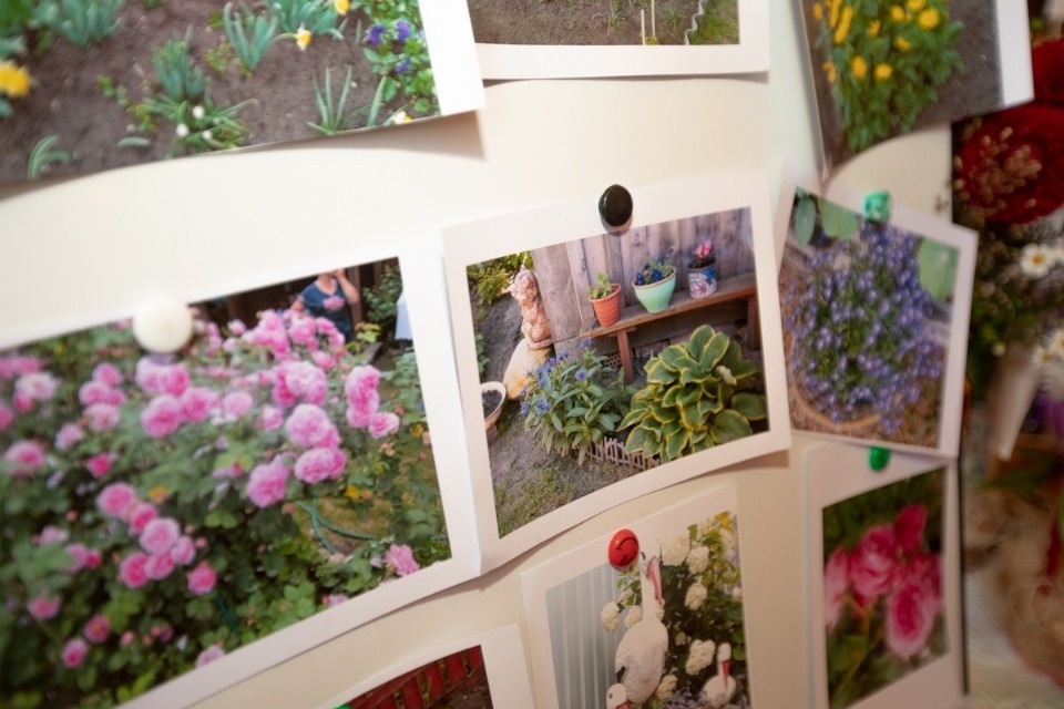 Да мы же пенсионеры!