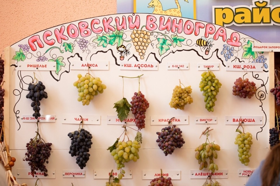 Да мы же пенсионеры!