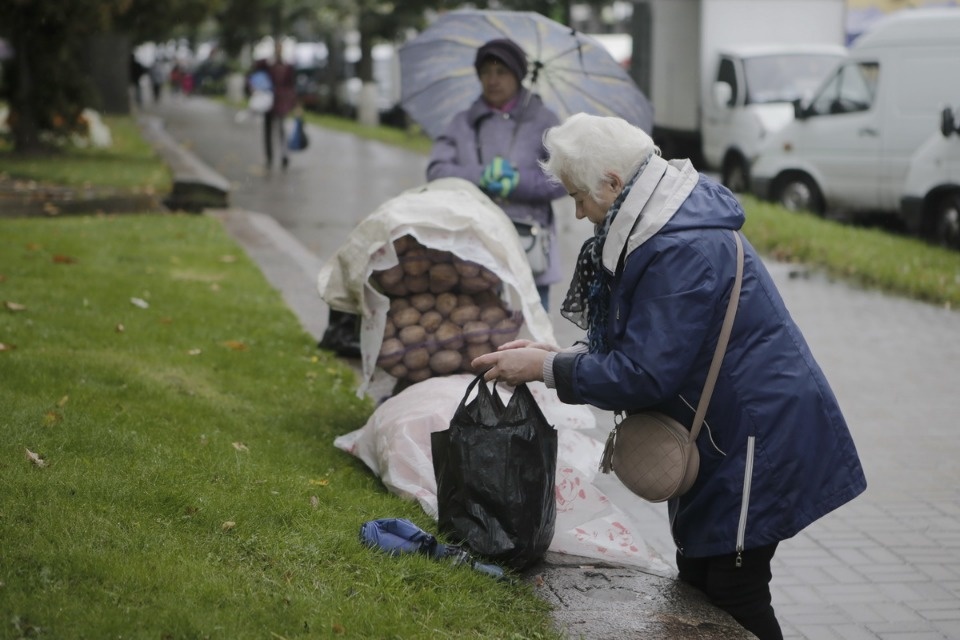 Сельскохозяйственная ярмарка Псковского района Сельскохозяйственная ярмарка Псковского района